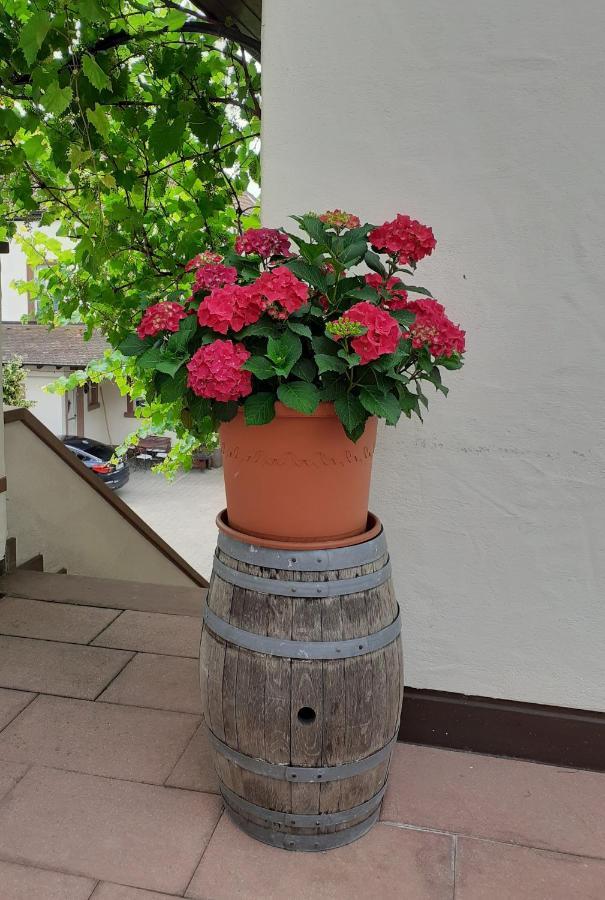 Das Landhotel Weingut Gernert Sankt Martin Luaran gambar